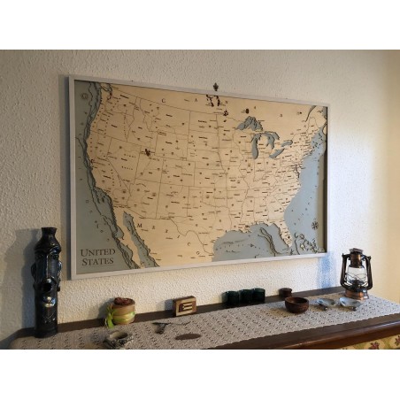 Mappa Stati Uniti Cartina