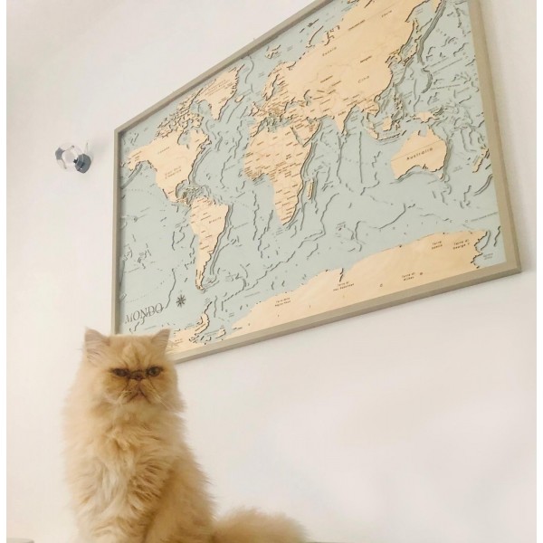World Map