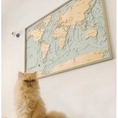 World Map