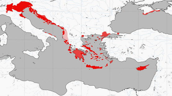 Serenissima (Maps).jpg